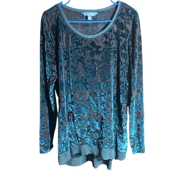 Simply Vera Vera Wang Tops - Simply Vera Vera Wang Teal Sheer & Velvet Long Sleeve Top